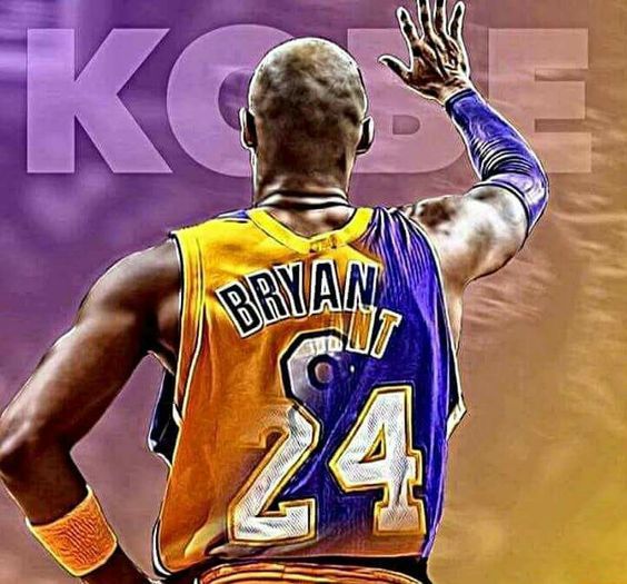 kobe number 24 and 8