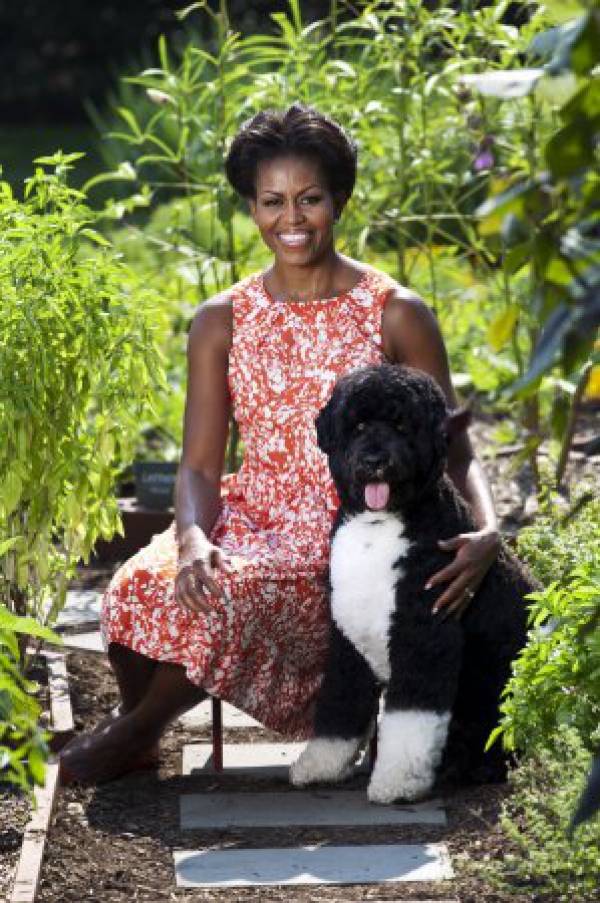 The Humane First Lady - Michelle Obama